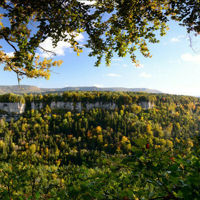 Blick auf die Wutachfl�hen, Martin Schwenninger